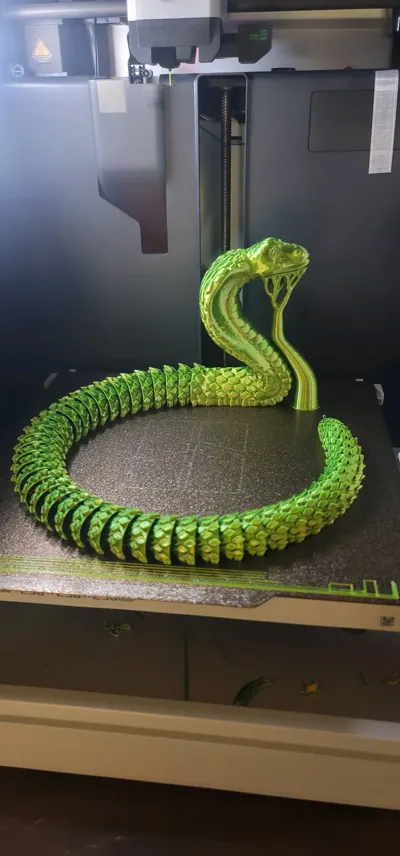 https://makerworld.bblmw.com/makerworld/model/416901/319225/ratings/d975f630-b280-11f0-bf40-17cd051ce0aa.jpg