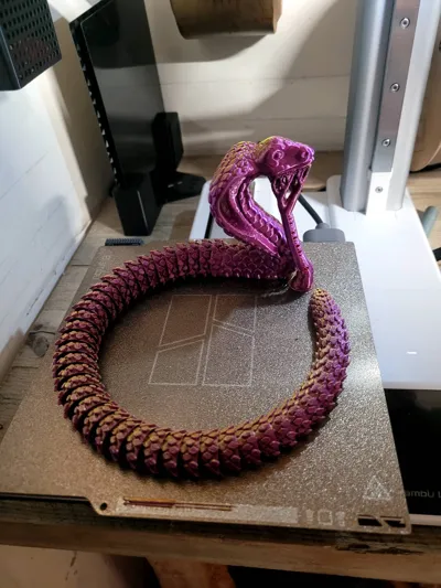 https://makerworld.bblmw.com/makerworld/model/416901/319233/ratings/948358a0-e45e-11f0-b04e-410b45793d50.jpg