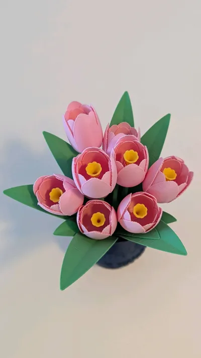 https://makerworld.bblmw.com/makerworld/model/417257/319627/ratings/07a04050-138b-11f0-9470-e3c171b05270.jpg
