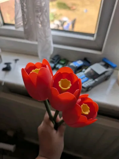 https://makerworld.bblmw.com/makerworld/model/417257/319627/ratings/d73efd40-5b31-11f0-bba7-b7f8844a27ad.jpg