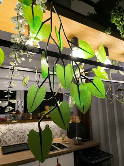 https://makerworld.bblmw.com/makerworld/model/417498/319885/ratings/874a70a0-ac4c-11f0-81bf-0f4f960cbc7c.jpg