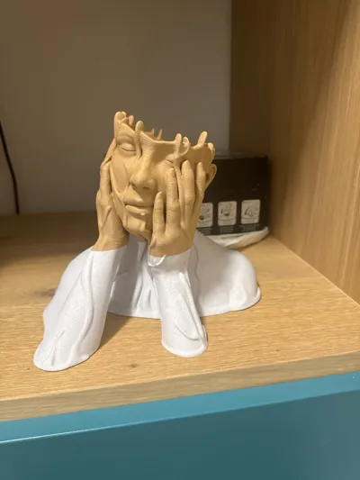 https://makerworld.bblmw.com/makerworld/model/419508/322326/ratings/8111ed50-405c-11f0-b761-8109b6439b0e.jpg