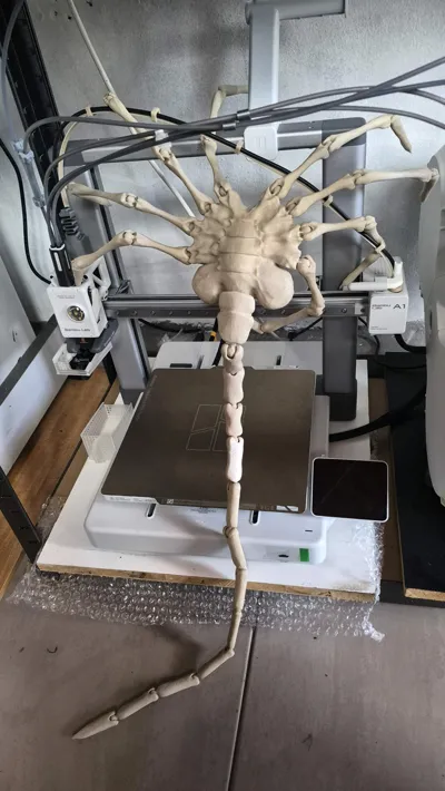 https://makerworld.bblmw.com/makerworld/model/420639/323356/ratings/8df27a20-e17f-11f0-9a01-c33598a704f2.jpg