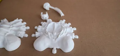 https://makerworld.bblmw.com/makerworld/model/420639/400894/ratings/4005a080-cd25-11f0-b15c-cd59cc211f81.jpg