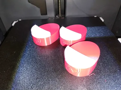 https://makerworld.bblmw.com/makerworld/model/421325/324133/ratings/6d6095b0-a7de-11f0-808e-f30d51a5a5dc.jpg