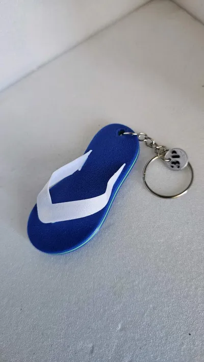 https://makerworld.bblmw.com/makerworld/model/421495/324354/ratings/367b26d0-a6b4-11f0-bb18-bb2fe02b2a44.jpg