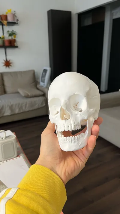 https://makerworld.bblmw.com/makerworld/model/423935/337286/ratings/c0ff64f0-cd0c-11f0-8888-65d70b0a621d.jpg