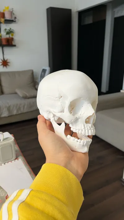 https://makerworld.bblmw.com/makerworld/model/423935/337286/ratings/c100c480-cd0c-11f0-8888-65d70b0a621d.jpg