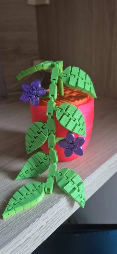 https://makerworld.bblmw.com/makerworld/model/425971/331319/ratings/85422d90-ef34-11f0-8012-b762e8b8b44c.jpg