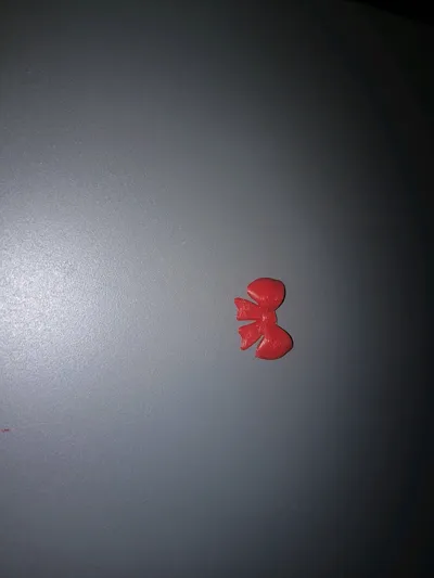 https://makerworld.bblmw.com/makerworld/model/426348/330149/ratings/7cb56230-8a64-11f0-8057-83e2acddb103.jpg
