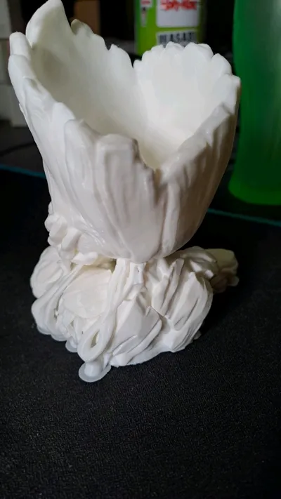 https://makerworld.bblmw.com/makerworld/model/430295/491911/ratings/e18e4ba0-1317-11f0-9b4a-8d1201a10919.jpg