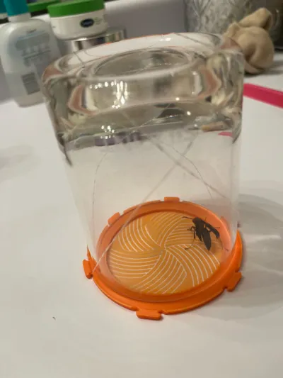 https://makerworld.bblmw.com/makerworld/model/430473/334949/ratings/28f3d0b0-bcc2-11f0-bc0c-757be6ea3f07.jpg
