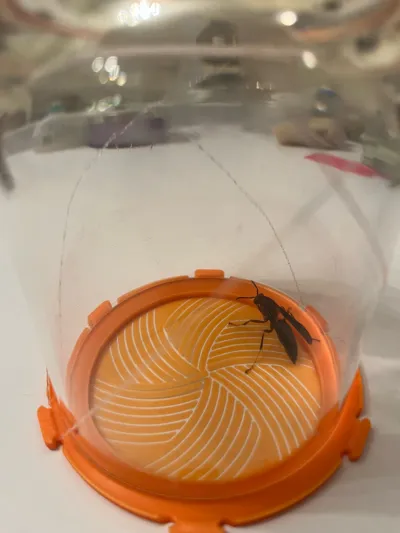 https://makerworld.bblmw.com/makerworld/model/430473/334949/ratings/28fd4690-bcc2-11f0-bc0c-757be6ea3f07.jpg