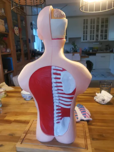 https://makerworld.bblmw.com/makerworld/model/431556/758473/ratings/4316d0a0-1c77-11f0-868d-d382d50ab3c6.jpg