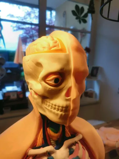 https://makerworld.bblmw.com/makerworld/model/431556/758473/ratings/4316f7b0-1c77-11f0-868d-d382d50ab3c6.jpg