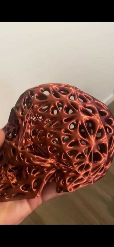 https://makerworld.bblmw.com/makerworld/model/434849/339698/ratings/68915350-c8ac-11f0-9649-795d7256bafc.jpg
