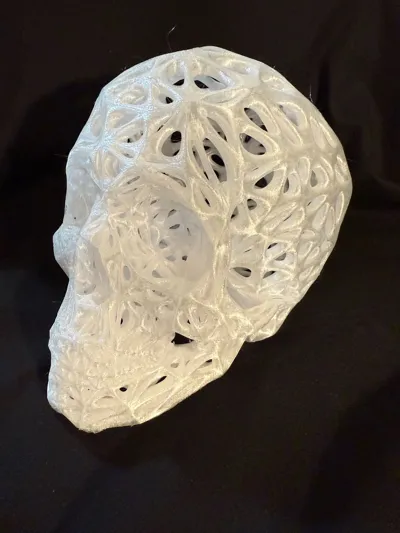 https://makerworld.bblmw.com/makerworld/model/434849/339698/ratings/e545c5c0-18f3-11f0-85e8-9325939673a2.jpg