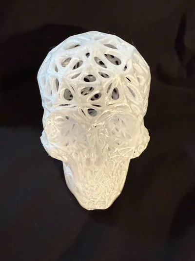 https://makerworld.bblmw.com/makerworld/model/434849/339698/ratings/e54e9f60-18f3-11f0-85e8-9325939673a2.jpg