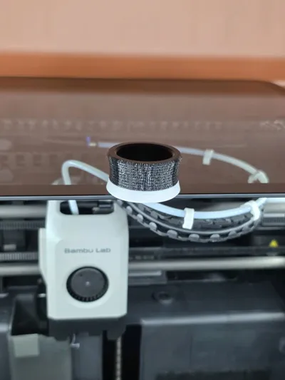 https://makerworld.bblmw.com/makerworld/model/434986/339913/ratings/e1a3f920-c4e5-11f0-a079-1d49540ed8d4.jpg