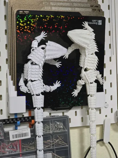 https://makerworld.bblmw.com/makerworld/model/435800/340881/ratings/c208bc10-79b1-11f0-85fe-cd7276bc5f88.jpg