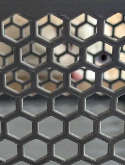 https://makerworld.bblmw.com/makerworld/model/437387/1033439/ratings/97dc9dd0-5a8a-11f0-8de1-5bb78df258c3.jpg
