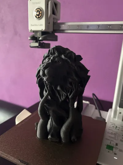 https://makerworld.bblmw.com/makerworld/model/437716/342975/ratings/1792d430-8e03-11f0-9963-41d5290b44fa.jpg