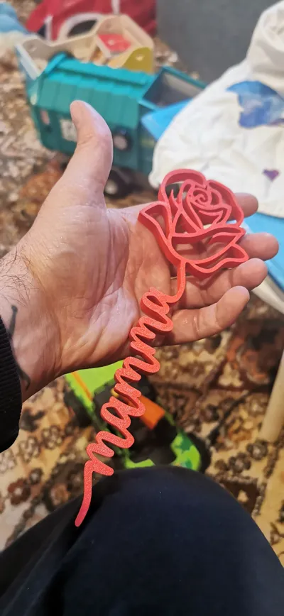 https://makerworld.bblmw.com/makerworld/model/439220/359117/ratings/2025-05-16_a9e7cf63a28db.jpg