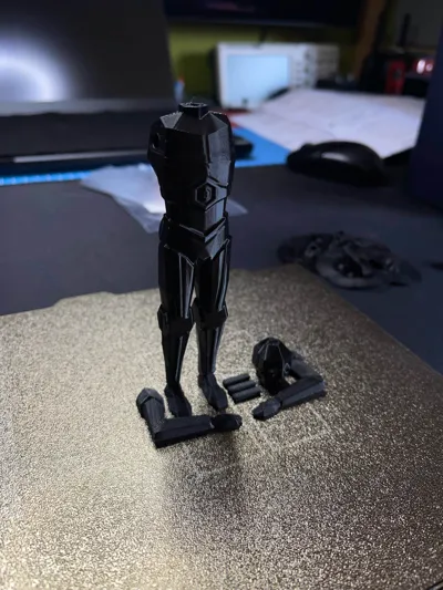https://makerworld.bblmw.com/makerworld/model/44461/46243/ratings/2bc24400-4131-11f0-bbde-a76789ba79ae.jpg