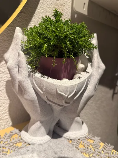 https://makerworld.bblmw.com/makerworld/model/446223/354145/ratings/bc1b33f0-b1e2-11f0-8c28-bd8c3ef179c0.jpg
