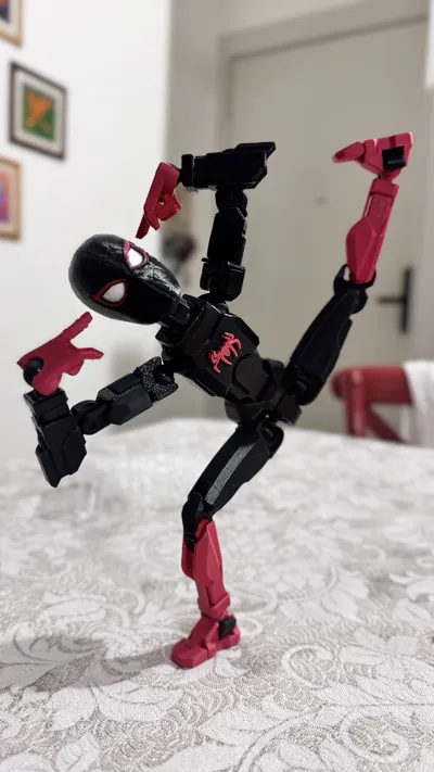 https://makerworld.bblmw.com/makerworld/model/446450/352967/ratings/df3820b0-1eca-11f0-9324-736762914058.jpg