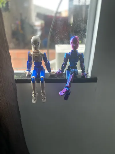 https://makerworld.bblmw.com/makerworld/model/446450/352967/ratings/ecacdc80-7515-11f0-83fb-cb21181ed2b0.jpg