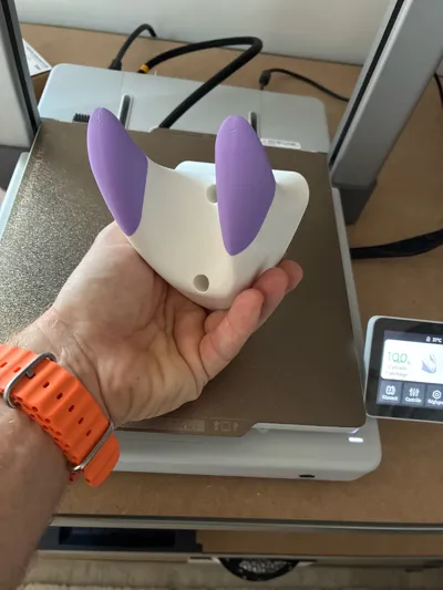 https://makerworld.bblmw.com/makerworld/model/447604/1701058/ratings/094be800-96b2-11f0-ac08-95d2e3cd16f8.jpg