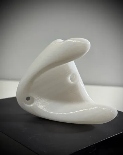 https://makerworld.bblmw.com/makerworld/model/447604/354824/ratings/45d1b4e0-6c9a-11f0-8706-f9561c1003be.jpg