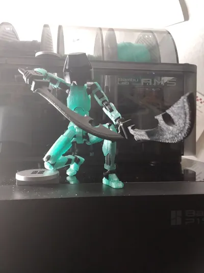 https://makerworld.bblmw.com/makerworld/model/448356/355156/ratings/d587db20-d0d4-11f0-a790-419c0e2ee3b1.jpg