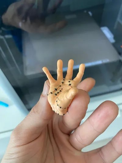 https://makerworld.bblmw.com/makerworld/model/44906/46573/ratings/6a64c500-a2b3-11f0-bc91-498fe1b77e54.jpg