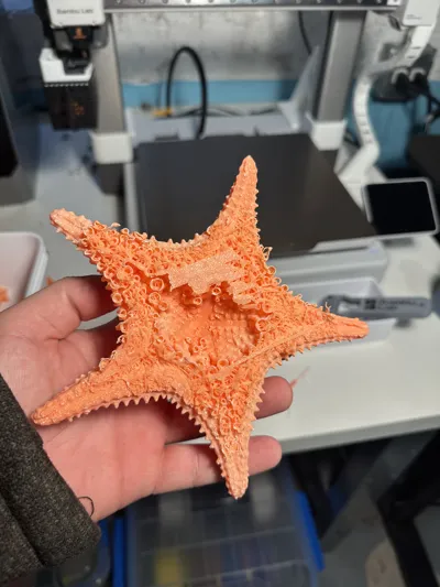 https://makerworld.bblmw.com/makerworld/model/449185/355965/ratings/c6230440-378f-11f0-8637-69b75c70a1c8.jpg