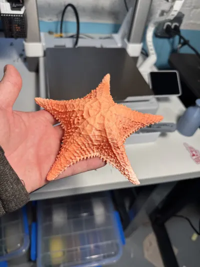 https://makerworld.bblmw.com/makerworld/model/449185/355965/ratings/c6243cc0-378f-11f0-8637-69b75c70a1c8.jpg