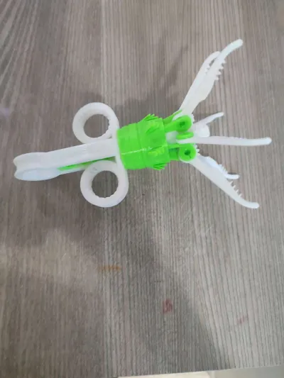https://makerworld.bblmw.com/makerworld/model/449341/393085/ratings/ff2e3870-9191-11f0-9e88-3b64e4dc8de0.jpg