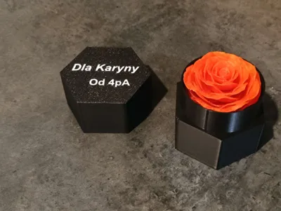 https://makerworld.bblmw.com/makerworld/model/449445/356257/ratings/0f6cb350-130d-11f0-a45a-9d42e668eeb6.jpg