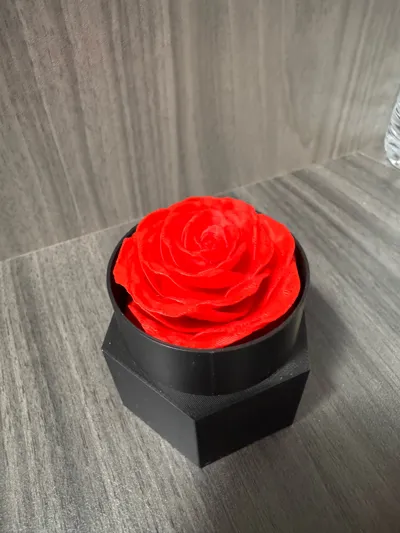 https://makerworld.bblmw.com/makerworld/model/449445/356257/ratings/229382e0-af81-11f0-9562-07909dfcf9a0.jpg