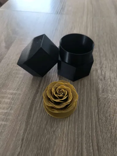 https://makerworld.bblmw.com/makerworld/model/449445/356257/ratings/3a4556d0-e581-11f0-8753-e7a6c7313deb.jpg
