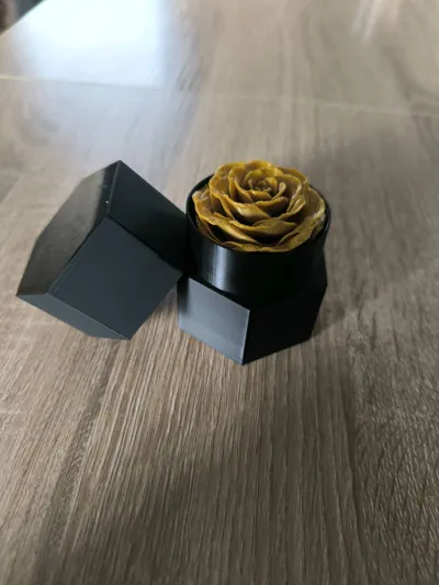 https://makerworld.bblmw.com/makerworld/model/449445/356257/ratings/3a4ad510-e581-11f0-8753-e7a6c7313deb.jpg