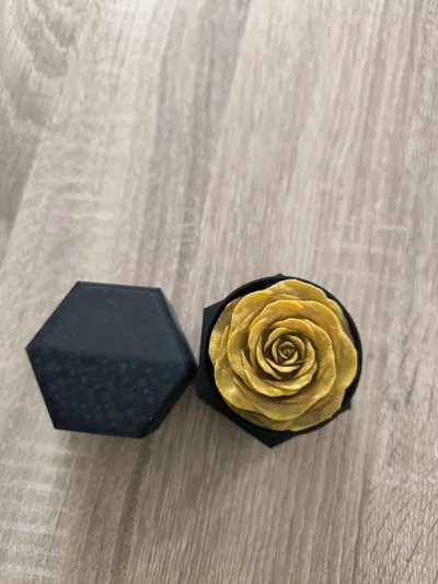 https://makerworld.bblmw.com/makerworld/model/449445/356257/ratings/3a4d4610-e581-11f0-8753-e7a6c7313deb.jpg