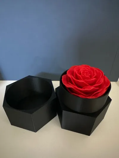 https://makerworld.bblmw.com/makerworld/model/449445/356257/ratings/50eb3790-2f35-11f0-b253-ad42018b87ec.jpg