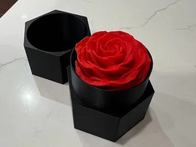 https://makerworld.bblmw.com/makerworld/model/449445/356257/ratings/624027b0-1ede-11f0-b010-e17a6cd4e2c6.jpg