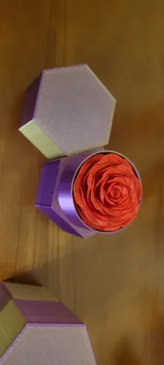 https://makerworld.bblmw.com/makerworld/model/449445/356257/ratings/7179ef90-f747-11ef-9df5-2765b75ec73d.jpg