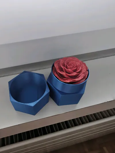 https://makerworld.bblmw.com/makerworld/model/449445/356257/ratings/90b132b0-cdfc-11f0-ad12-bdb1b5de2340.jpg