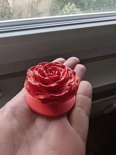 https://makerworld.bblmw.com/makerworld/model/449445/356257/ratings/90b180d0-cdfc-11f0-ad12-bdb1b5de2340.jpg
