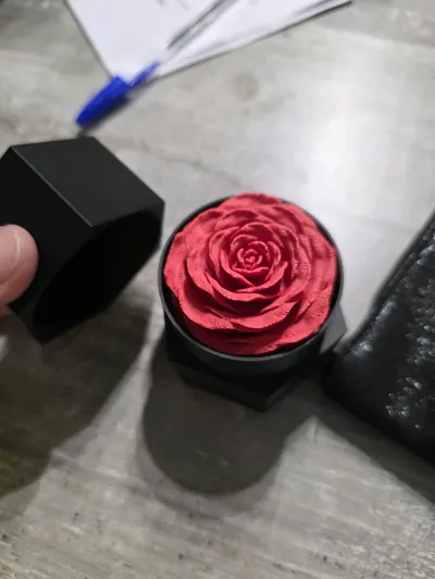 https://makerworld.bblmw.com/makerworld/model/449445/356257/ratings/d57928e0-5a56-11f0-9960-395a176ef86d.jpg