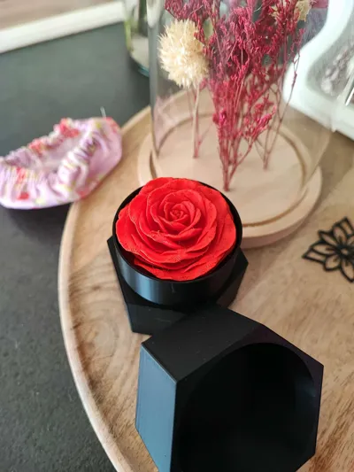 https://makerworld.bblmw.com/makerworld/model/449445/356257/ratings/de1e5570-d818-11f0-a839-390d72a121fe.jpg